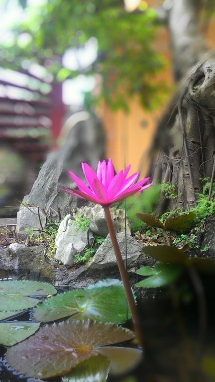 Tam Coc Green Homestay Ninh Binh Exterior photo
